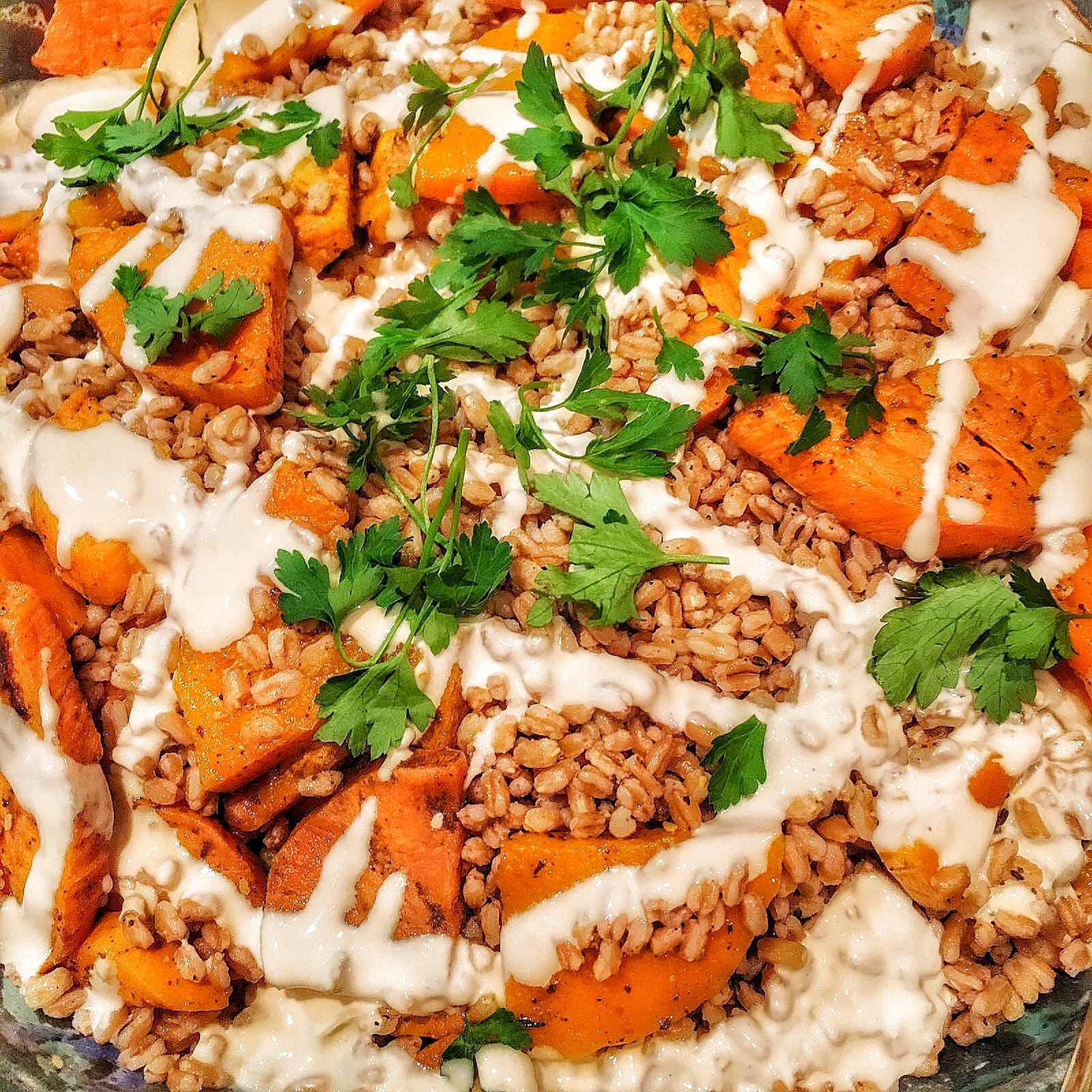 Shawarma Roasted Butternut & Spelt Salad with Tahina